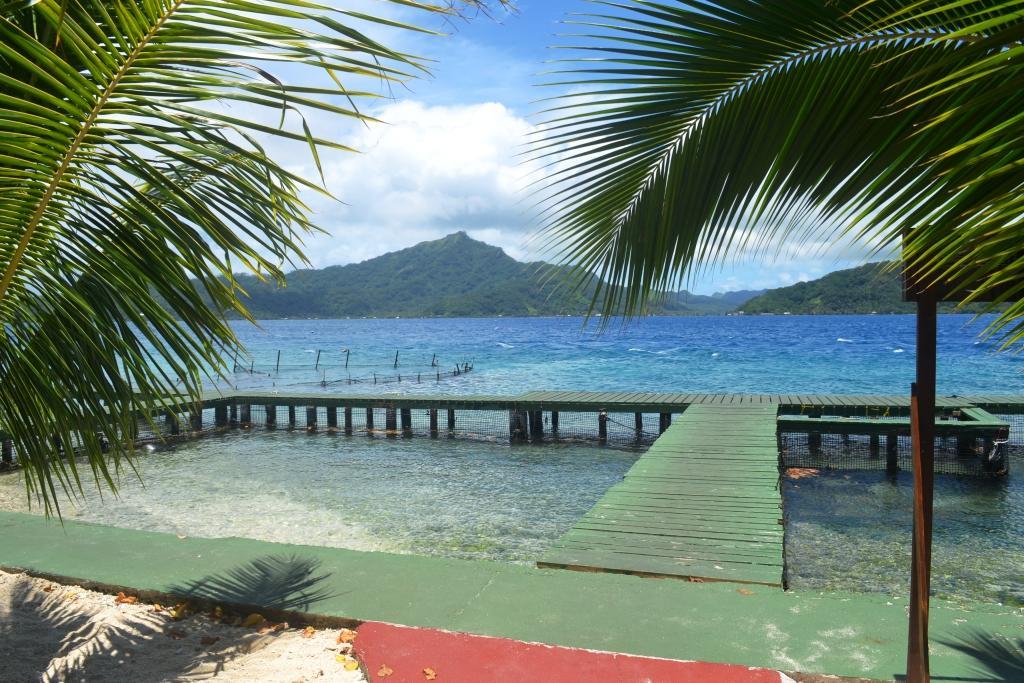 Pension Atger Vaitoare (Tahaa) Exterior foto